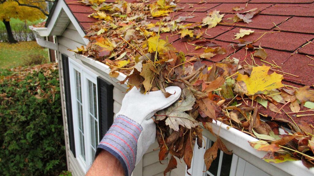 7 Tips for Spring Home Maintenance, Blog Post, South Sound Inspections