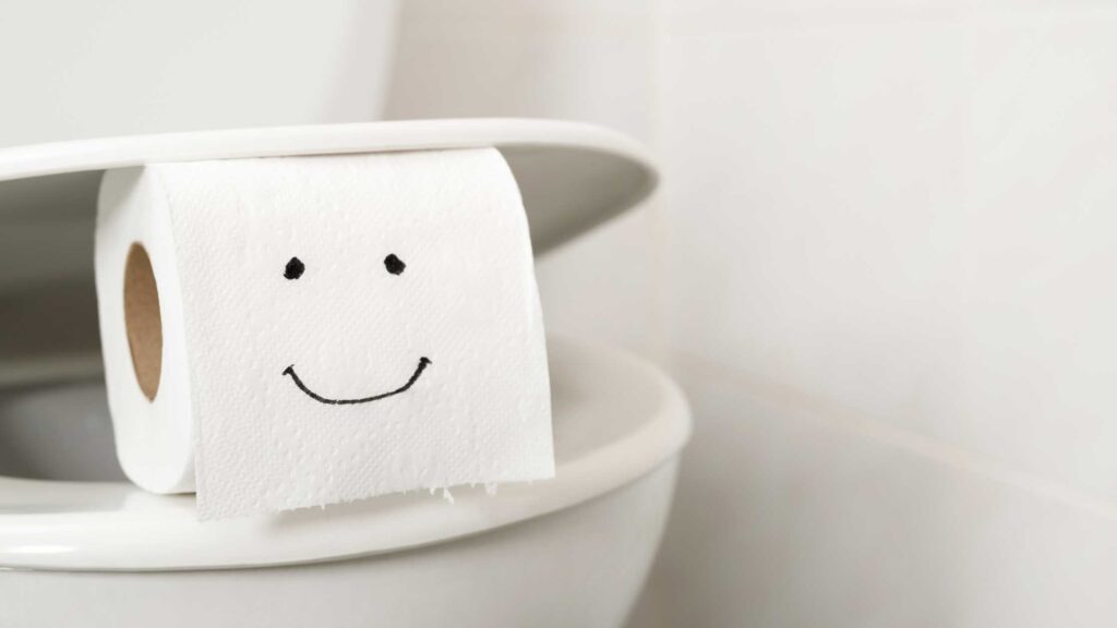Toilet Do's and Don'ts, Blog Post, South Sound Inspections